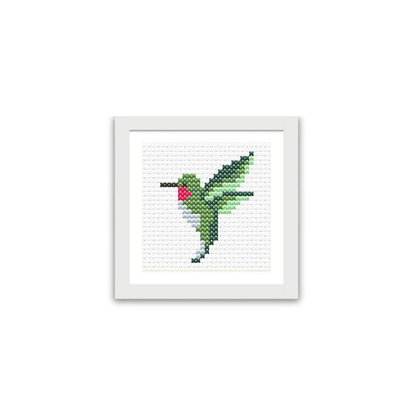 Humming Bird