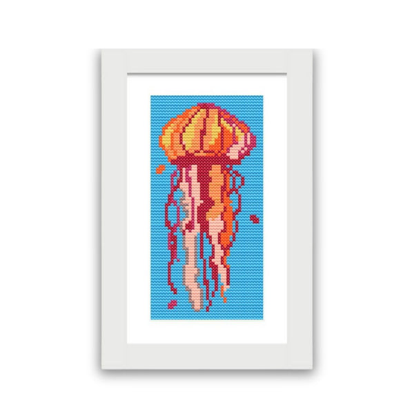 Jelly Fish