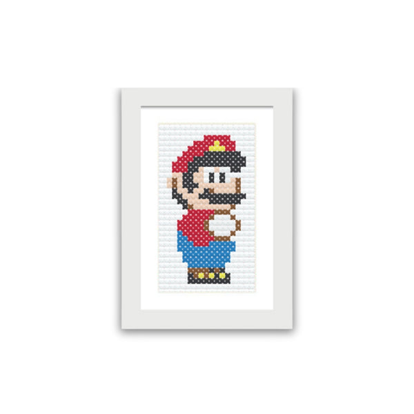Mario Portrait