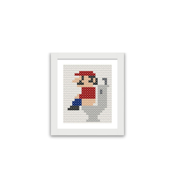 Super Mario Flush