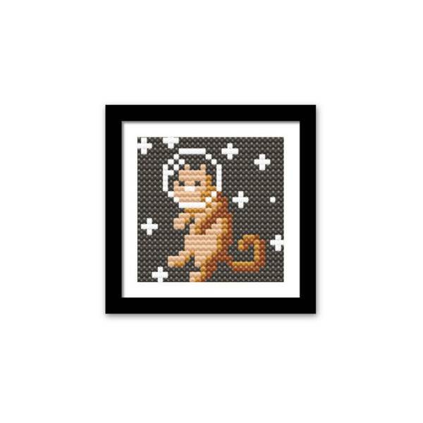 Space Cat